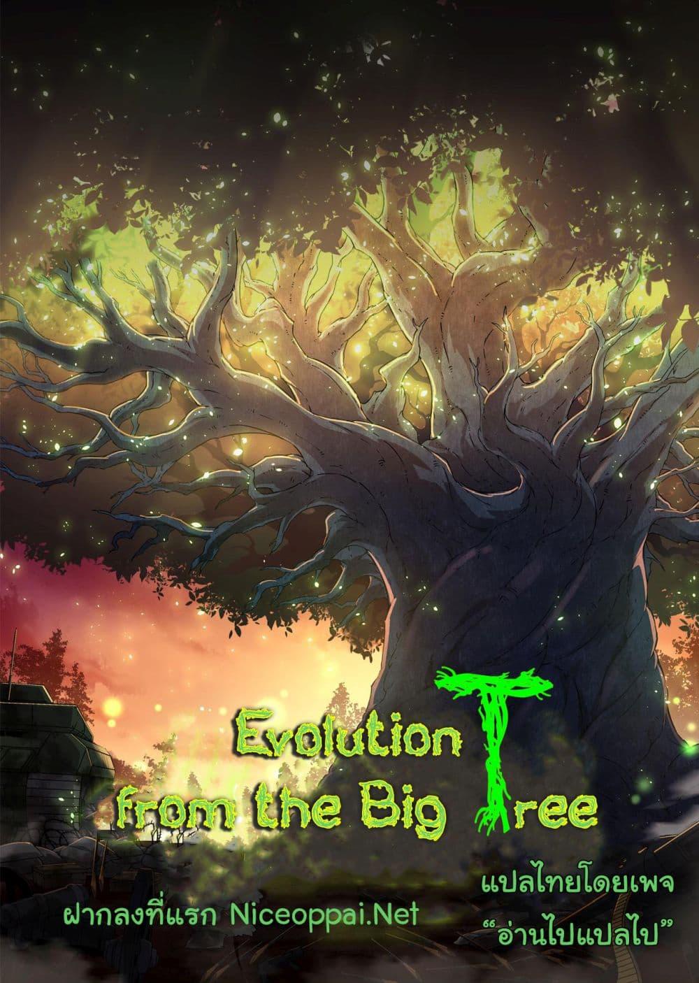 Evolution from the Big Tree 212 01